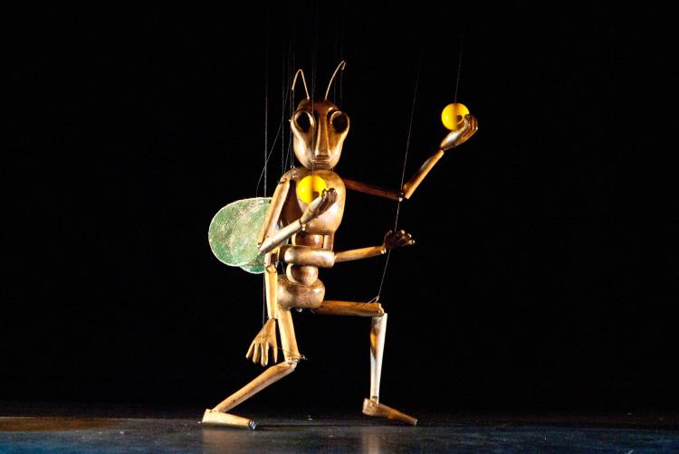 O Circo de Insetos - String Theatre / FIMFA Lx24 (Marionetas)
