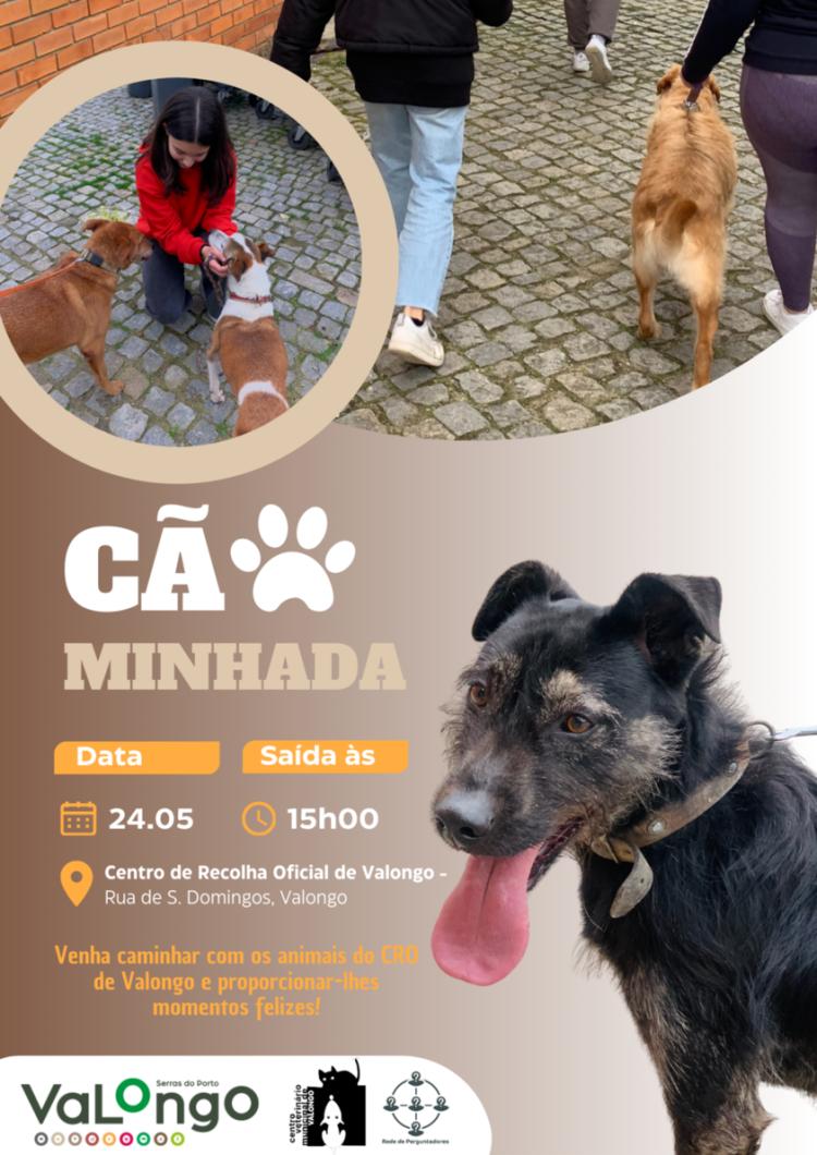 CãoMinhada com animais do Centro de Recolha Oficial de Valongo