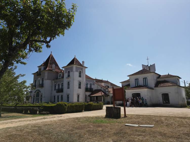 Dia Internacional dos Museus nas Casas Museu estarrejenses