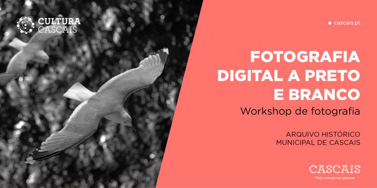 Workshop de fotografia digital a preto e branco