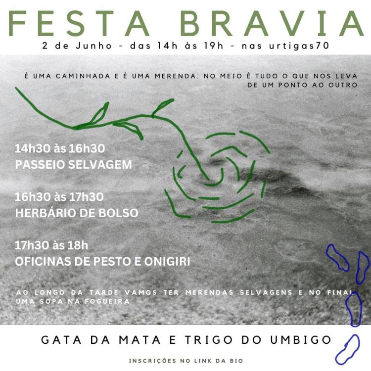 Festa Bravia