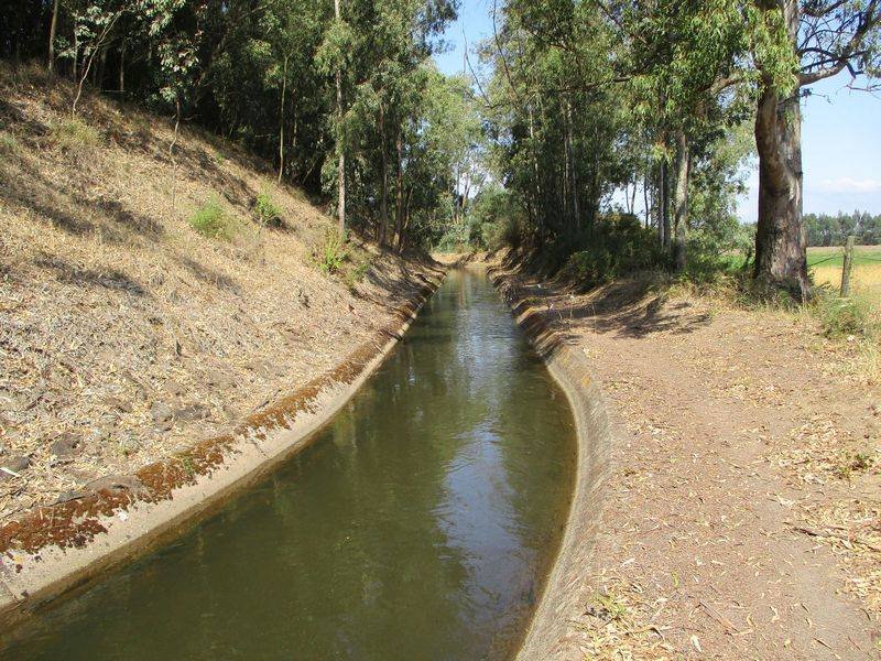 Caminhando na Rota da Lezíria entre Canais e Arrozais