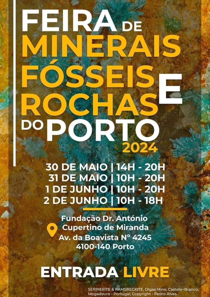 Feira de Minerais e fósseis do Porto