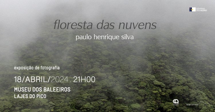 Exposição Floresta das Nuvens, de Paulo Henrique Silva