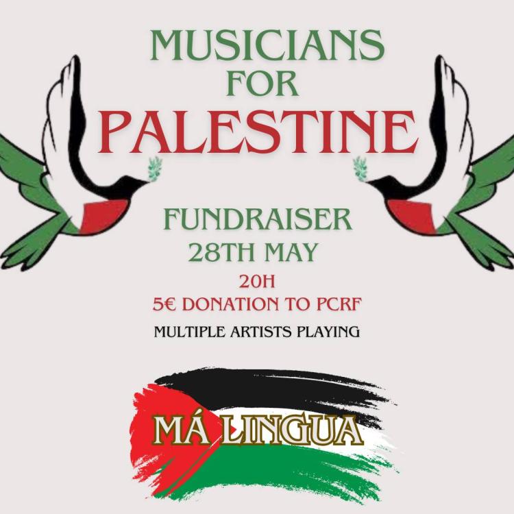 Musicians for Palestine - Fundraiser