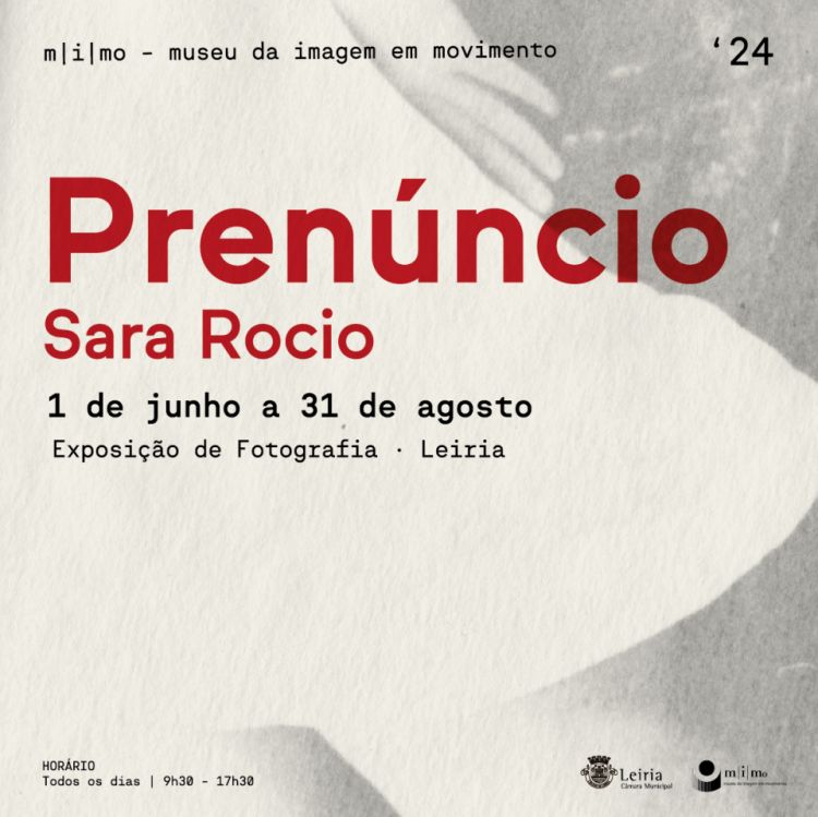 Exposição 'Prenúncio' de Sara Rocio