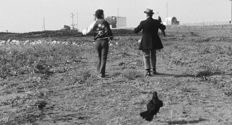 Luns de Filmoteca: Paxariños e paxarolos