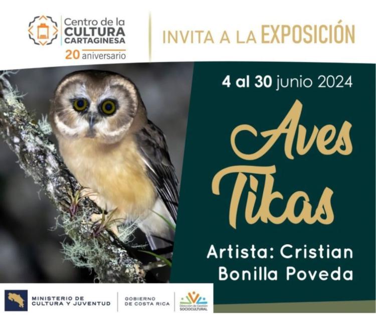 Acércate al mundo de las 'Aves Tikas'  | Centro de la Cultura Cartaginesa