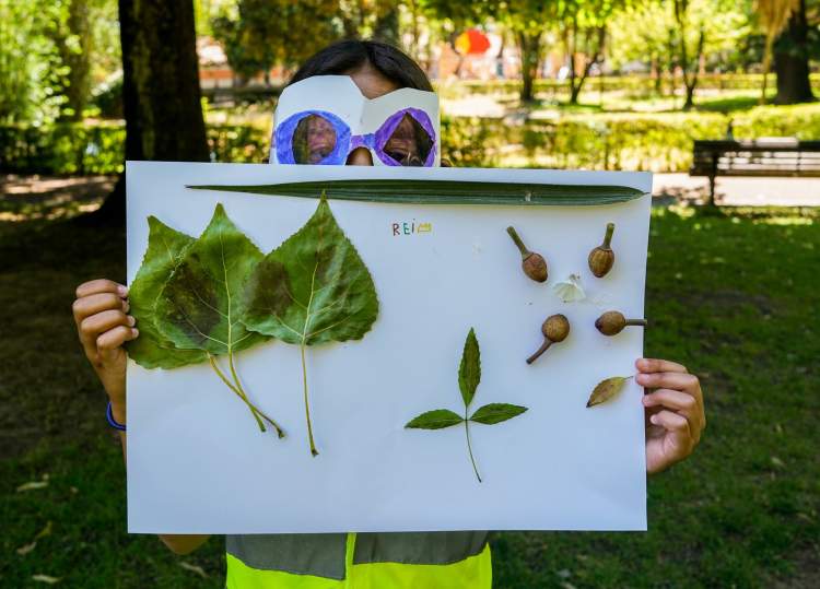 A Natureza sabe o que diz - Herbário Poético