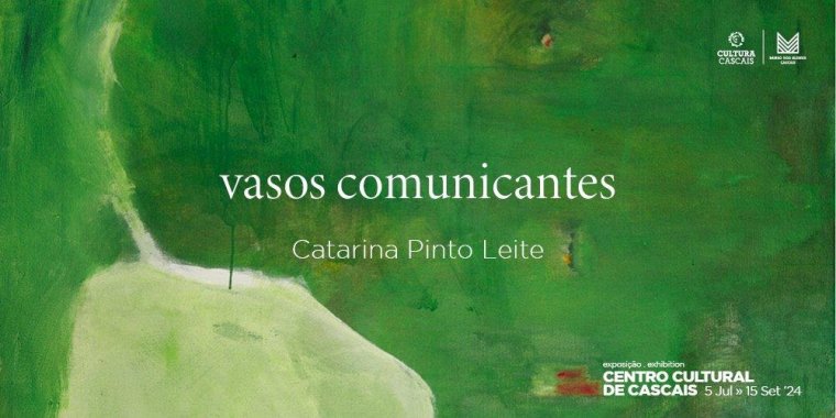 'Vasos Comunicantes', de Catarina Pinto Leite