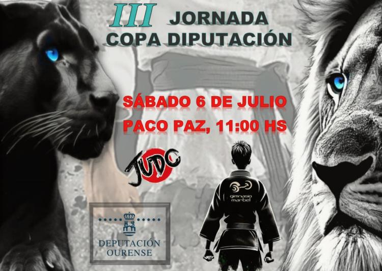 Copa Diputación de Judo (3ª y última jornada)