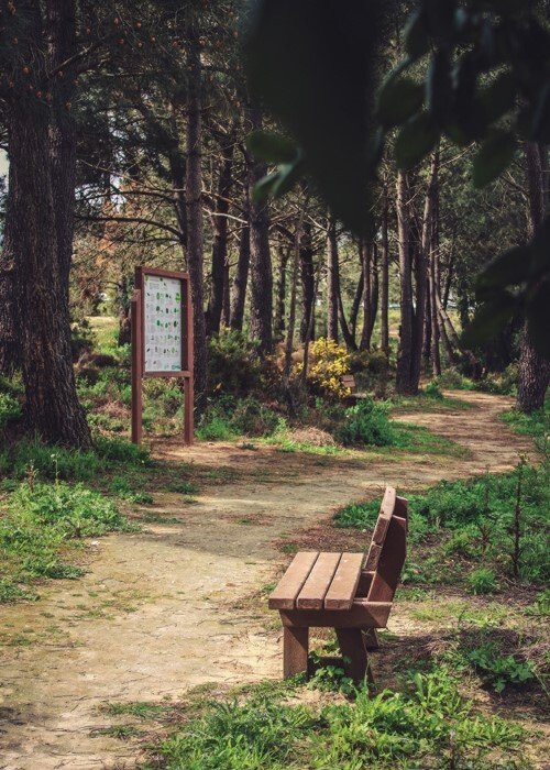 Histórias no Bosque