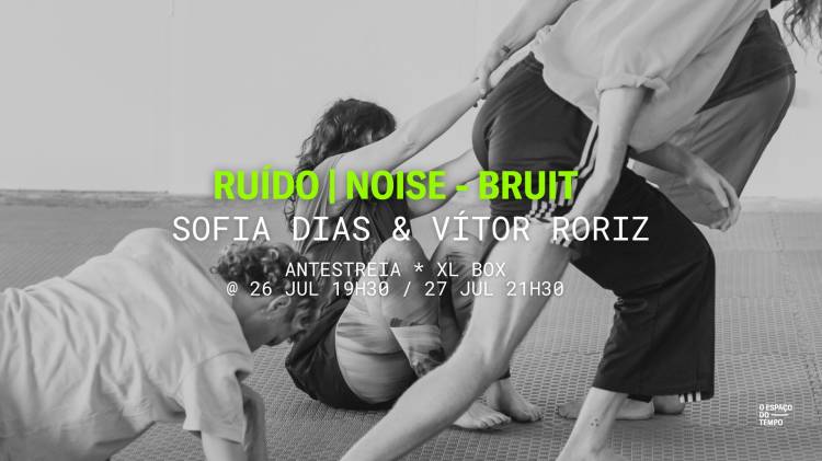 Ruído | Noise - Bruit | Sofia Dias & Vítor Roriz