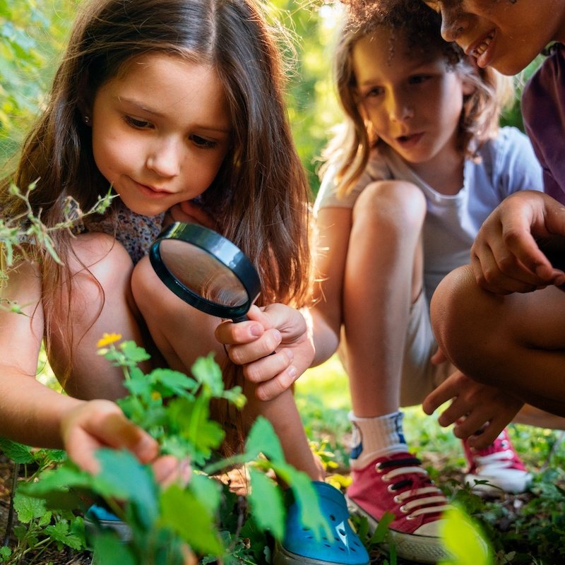 Campamento Aula de la Naturaleza