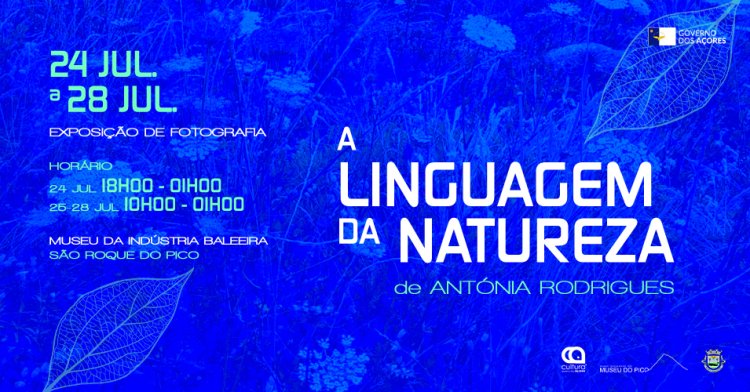 Exposição de fotografia 'A linguagem da natureza', de Antónia Rodrigues