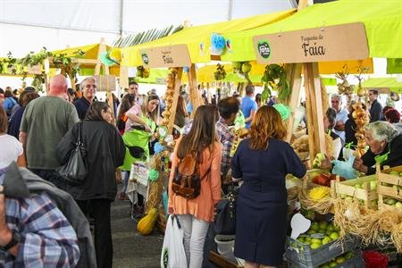 FEIRA | FEIRA FARTA