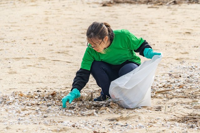 Ação de Voluntariado – Limpeza de Praia