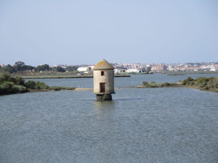 Caminhando à descoberta da Ponta dos Corvos