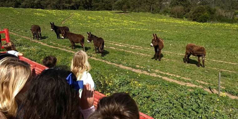 Passeio de Trator na Quinta do Pisão