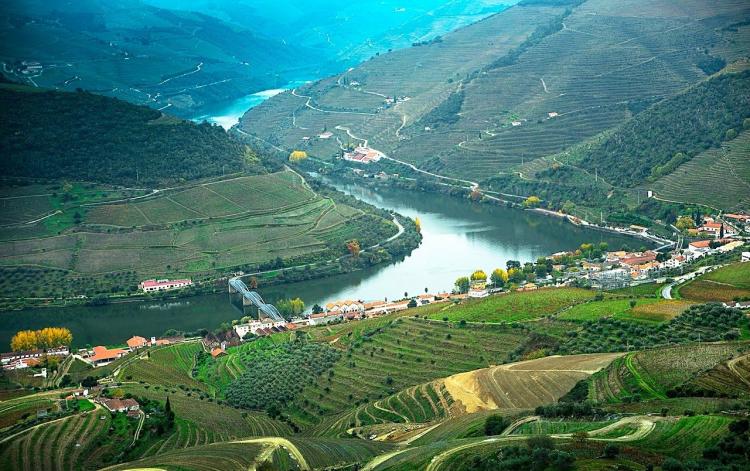 Alto Douro Vinhateiro: Pinhão, Passeio Barco, Casal Loivos, Lamego, Sra. Remédios