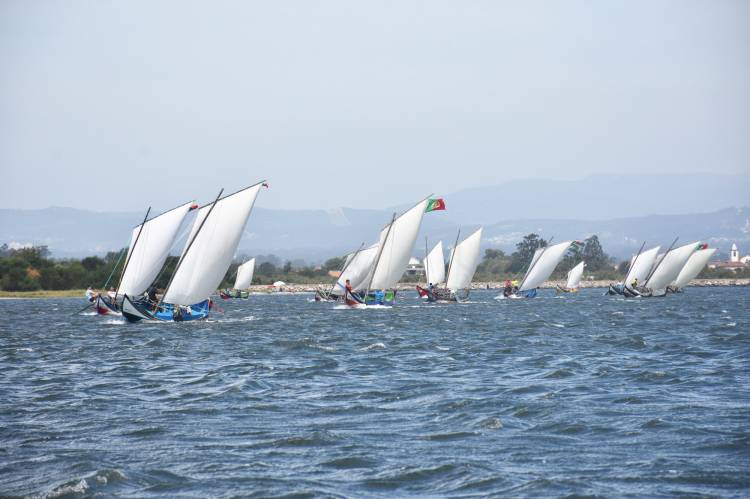 REGATA DE BATEIRAS À VELA – FESTA DO EMIGRANTE