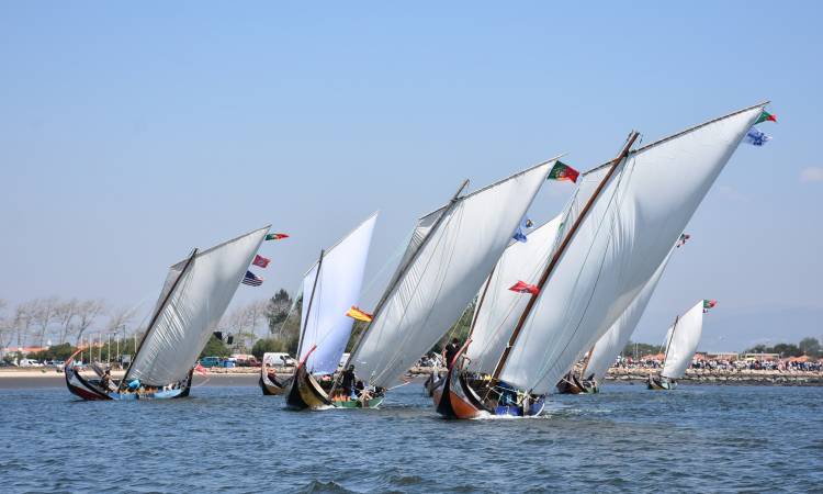 REGATA DE BARCOS MOLICEIROS – FESTA DO EMIGRANTE 