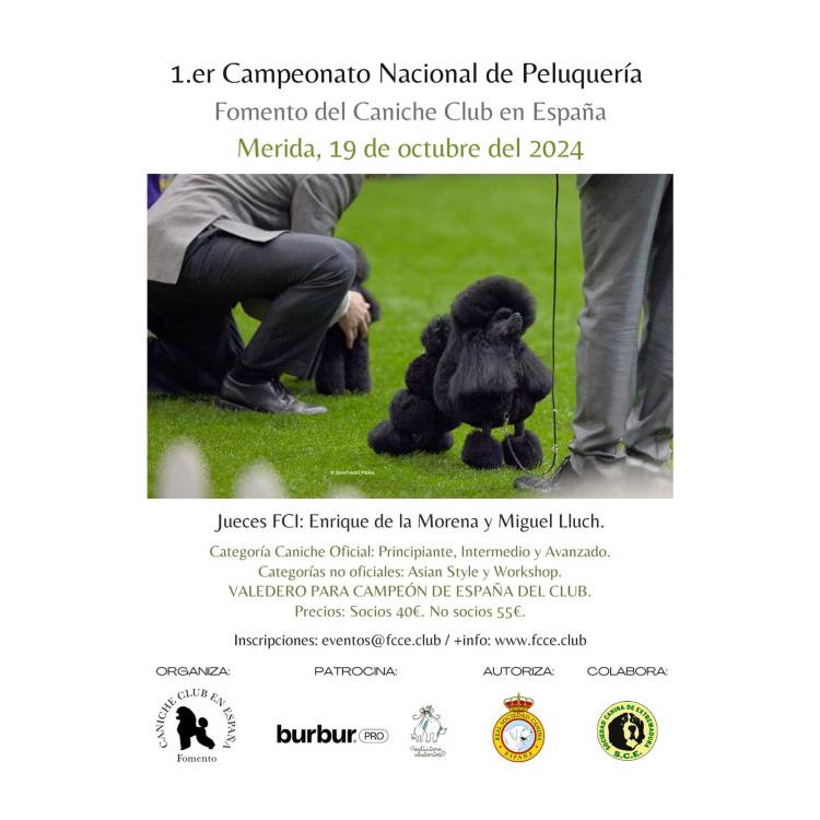 I campeonato nacional de peluquería FFCE 