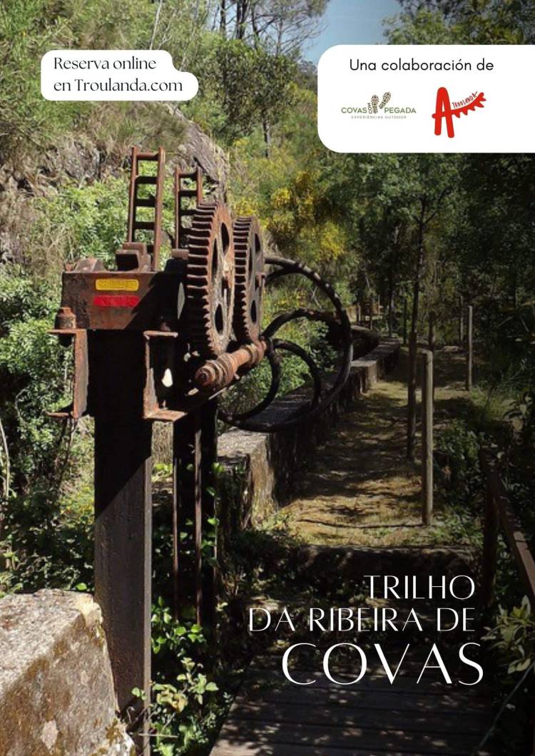 Ruta interpretativa: Trilho da Ribeira de Covas