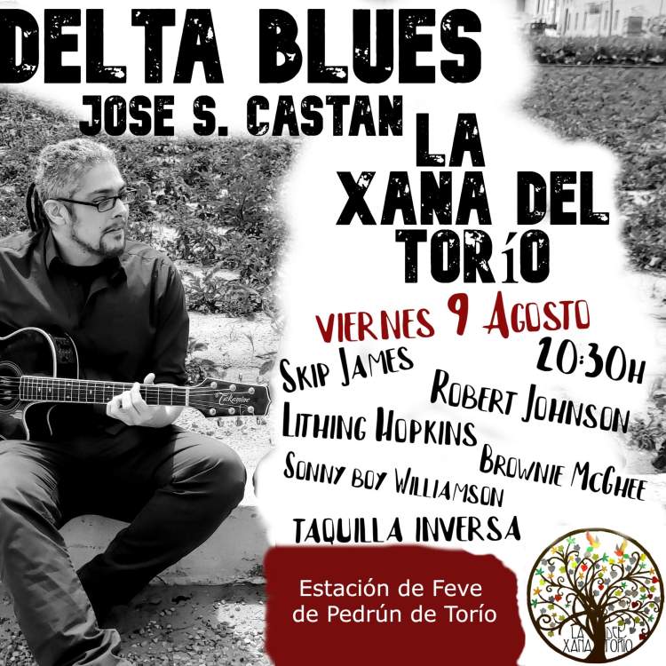 Delta blues José castán en concierto