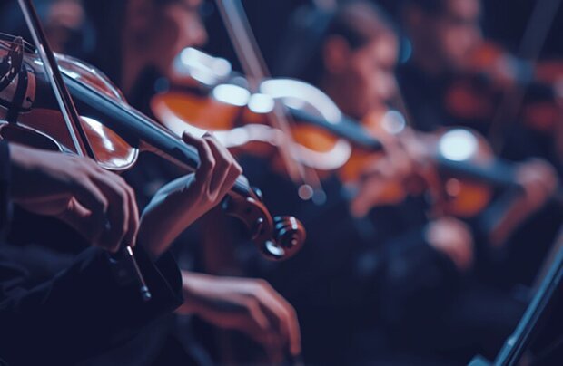 Grande Final | Serenata Noturna