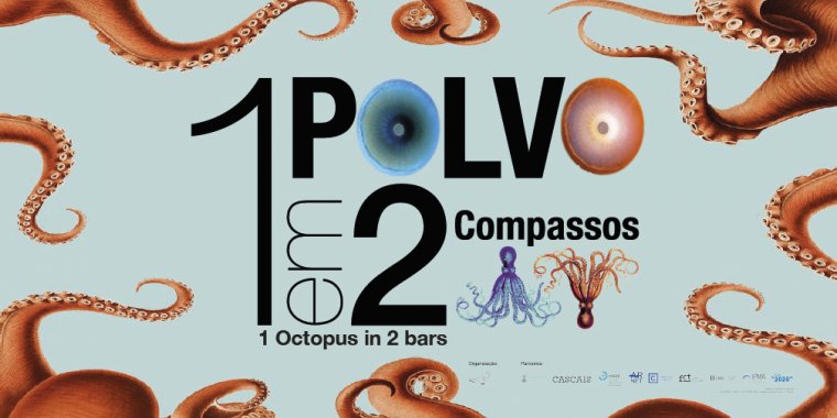 Exposição '1 polvo em 2 compassos'