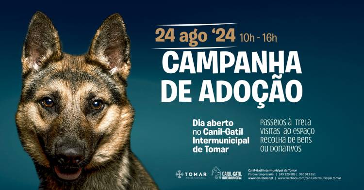 Campanha de Adoção | Dia Aberto no Canil-Gatil Intermunicipal de Tomar