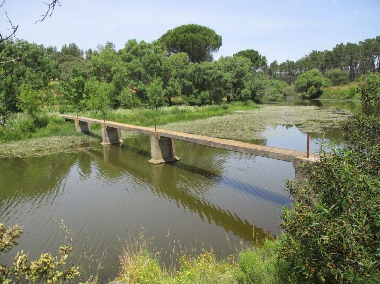 Caminhando na vila romana de Tourega