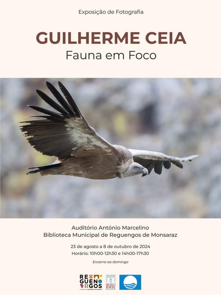 “Fauna em Foco” Exposição de Fotografia da Natureza de Guilherme Ceia