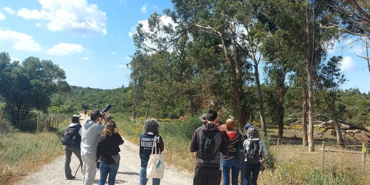 Passeio de observação de aves com a SPEA