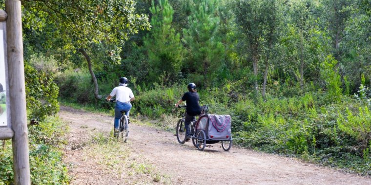 Bicicletas elétricas: Explore os trilhos da Quinta do Pisão ao seu ritmo