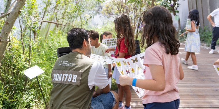 A vida secreta das Borboletas