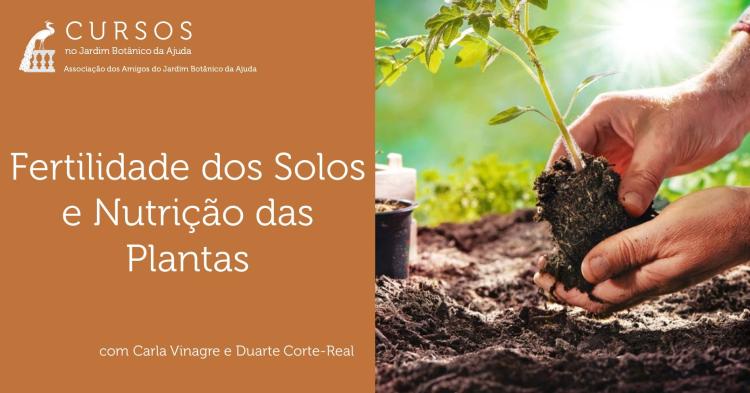 Fertilidade dos Solos e Nutrição das Plantas