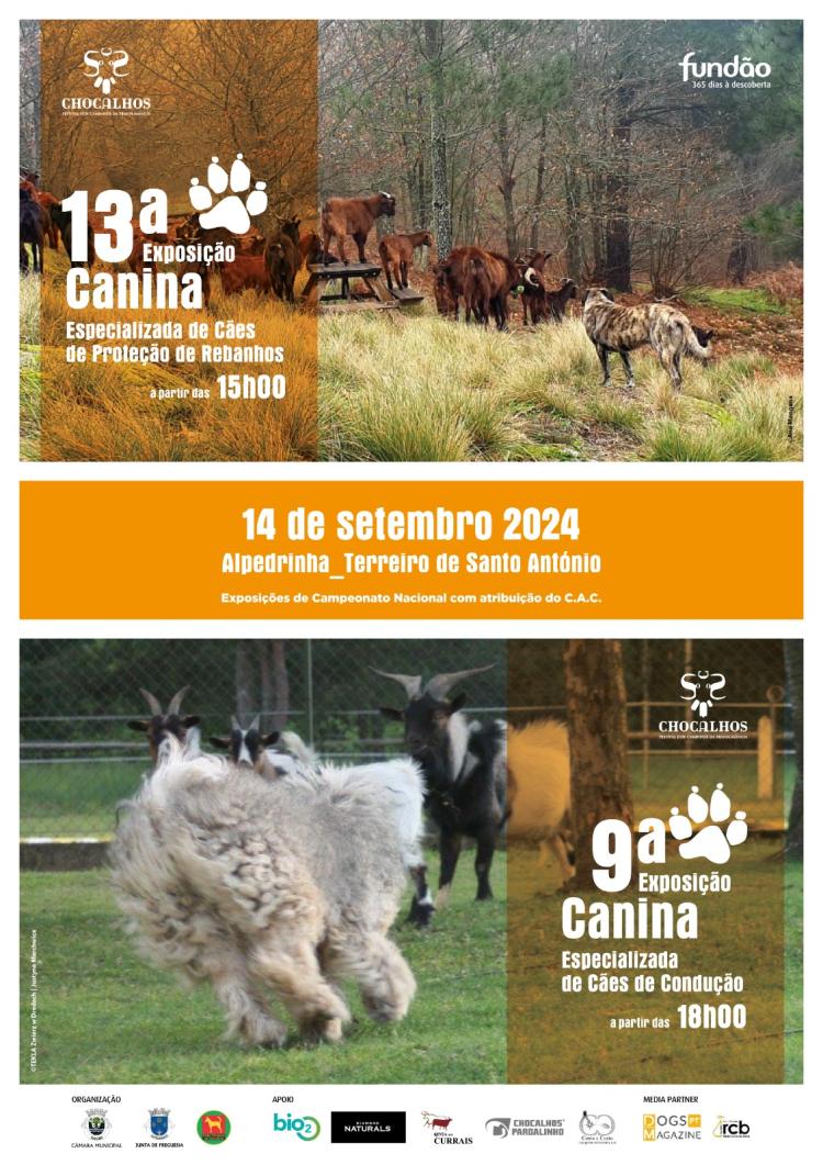 Exposições Caninas Especializadas | Chocalhos 2024