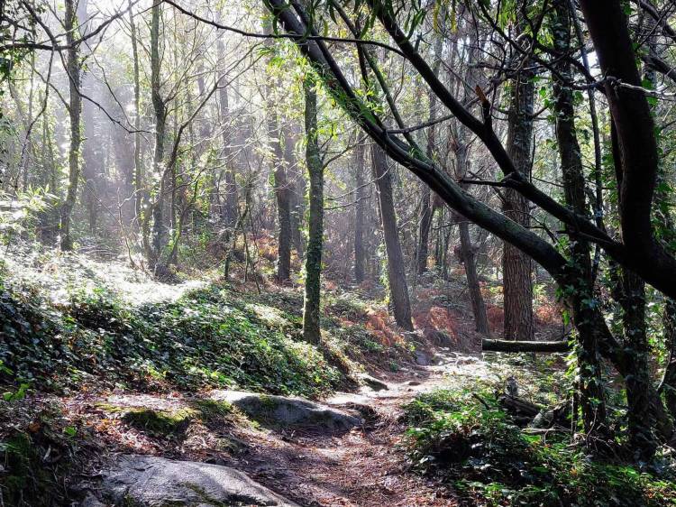 Caminhando do Carrasco até ao Monge