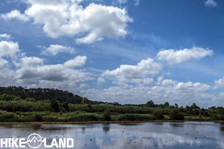 Dos Campos do Lis às Termas D´El Rei | Leiria