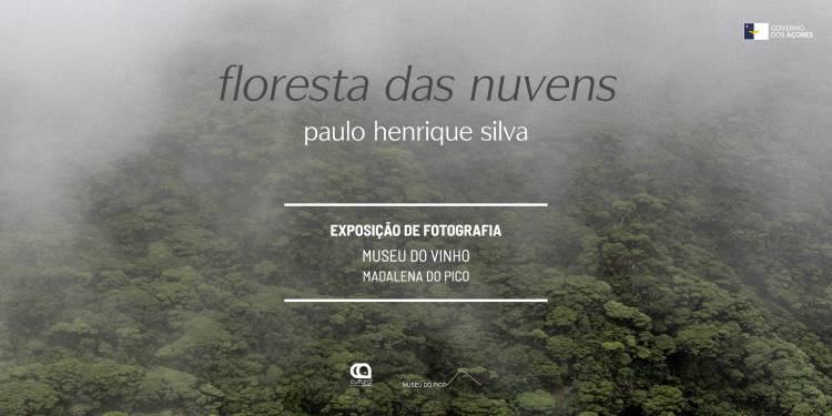 Exposição 'Floresta das Nuvens', de Paulo Henrique Silva