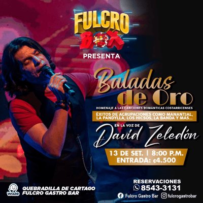 Baladas de Oro en Voz de david Zeledón