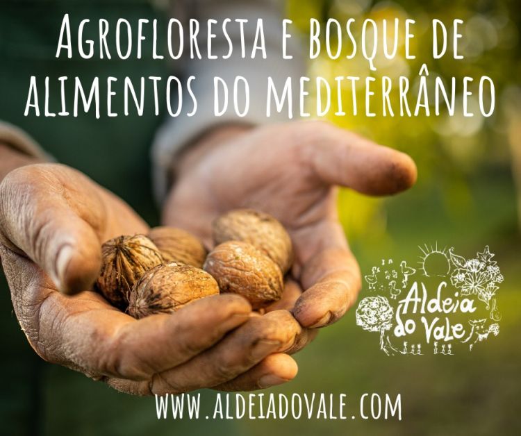 Agrofloresta e bosque de alimentos 