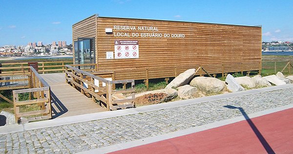 Limpeza costeira no Estuário do Douro