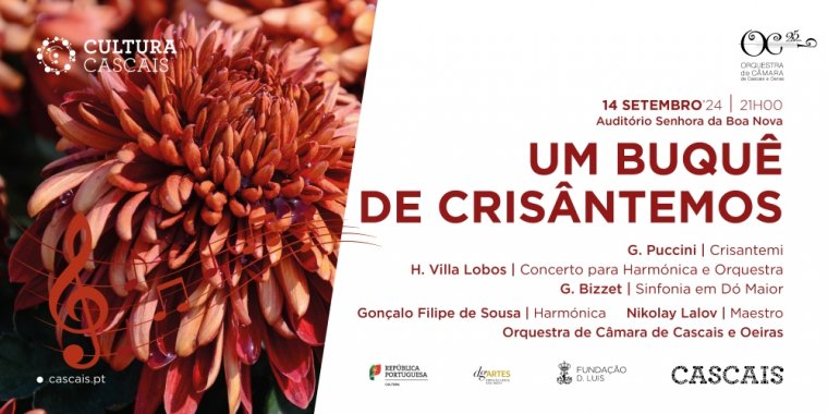 'Um Buquê de Crisântemos', concerto pela OCCO - Orquestra de Câmara de Cascais e Oeiras