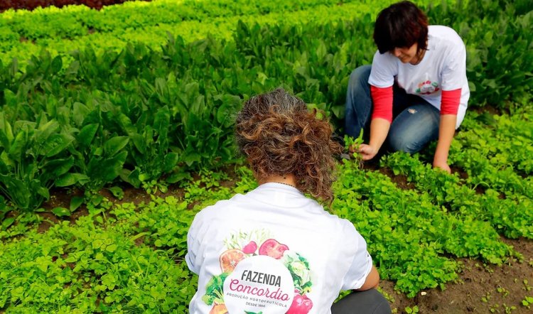 Comer Local e Sazonal – Sem Desperdício