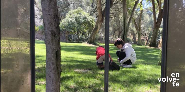 Percurso-ateliê: 'Arte e Natureza em nós', no Parque Marechal Carmona