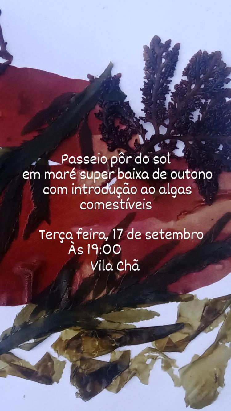 Introdução ao algas comestíveis 