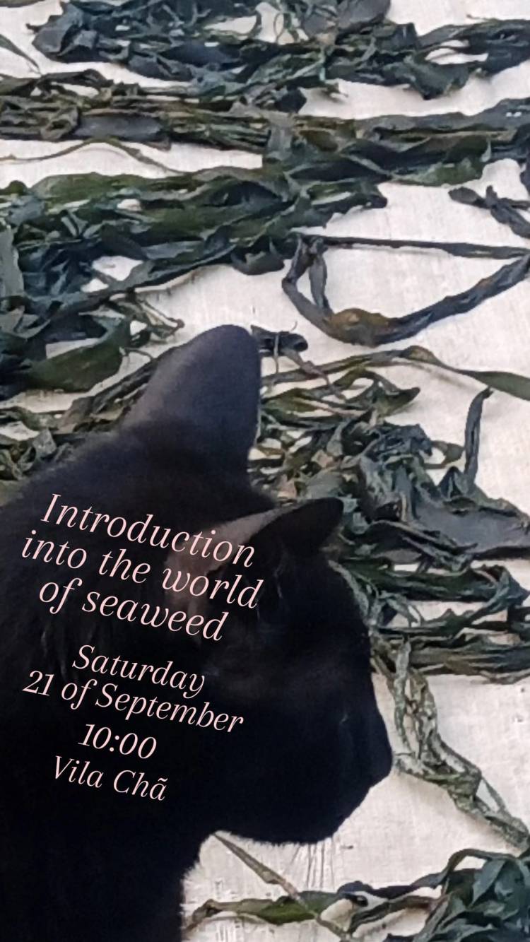 Introduction into the world of seaweed
